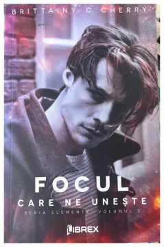Focul care ne unește (Seria Elemente #2)