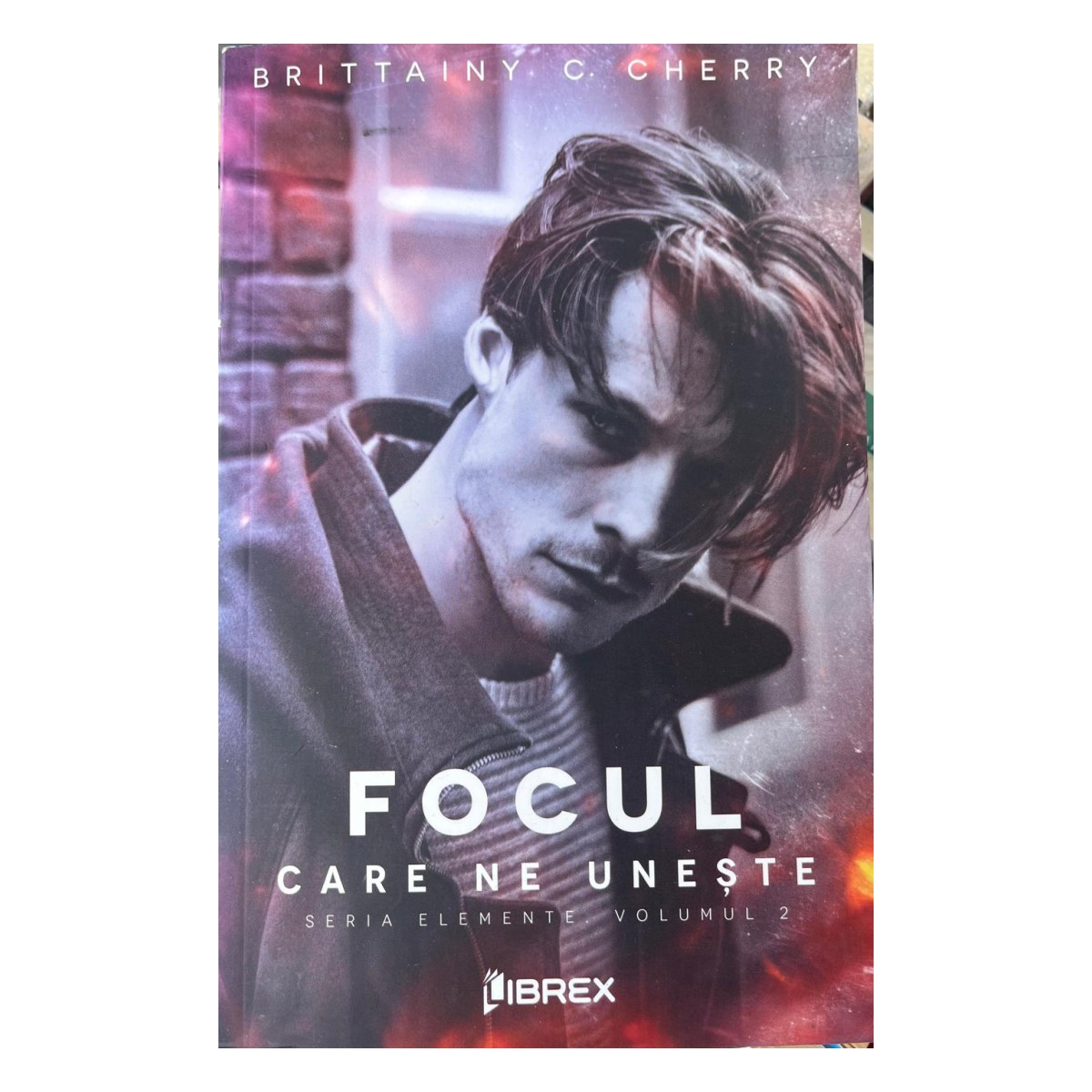 Focul care ne unește (Seria Elemente #2)